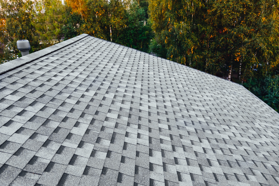 Roof Repair Contractor in Michigan City, Indiana