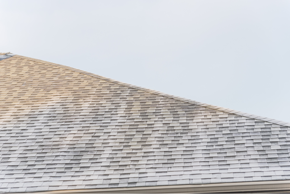 Roof Repair Contractor in Crown Point, Indiana